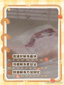 冻猪肉怎么解冻最快_冻肉如何解冻？速冻又保鲜