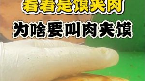 肉夹馍为什么这么叫_肉居中，馍作夹，地道小吃名
