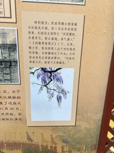 子云亭的典故由来_纪念扬雄的文化胜地