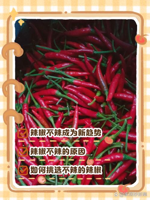 为什么四川人吃辣椒不上火_祛湿驱寒的餐桌智慧