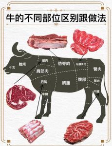 牛眼肉在牛身上部位图_上脑外脊间的高档嫩肉
