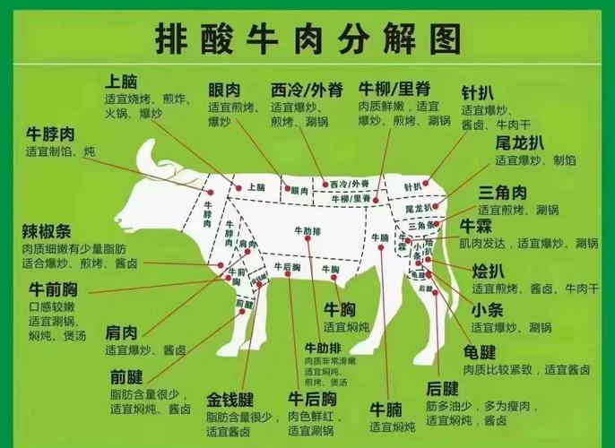 牛肉分割图及各部位名称_牛肉部位大不同，选对才能做好菜！