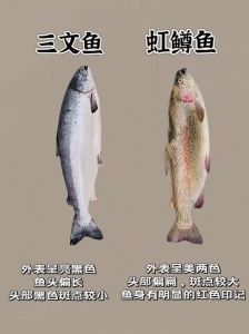 澳洲的三文鱼是虹鳟吗_三文鱼多为虹鳟？生吃有风险！