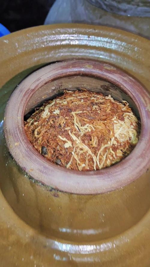 腌肉用什么坛子_陶玻不锈，各有所长