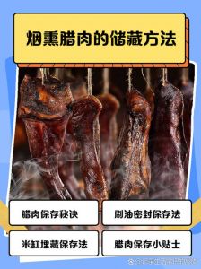 怎样腌制腊肉的做法_天时配肥肉，盐足才香久