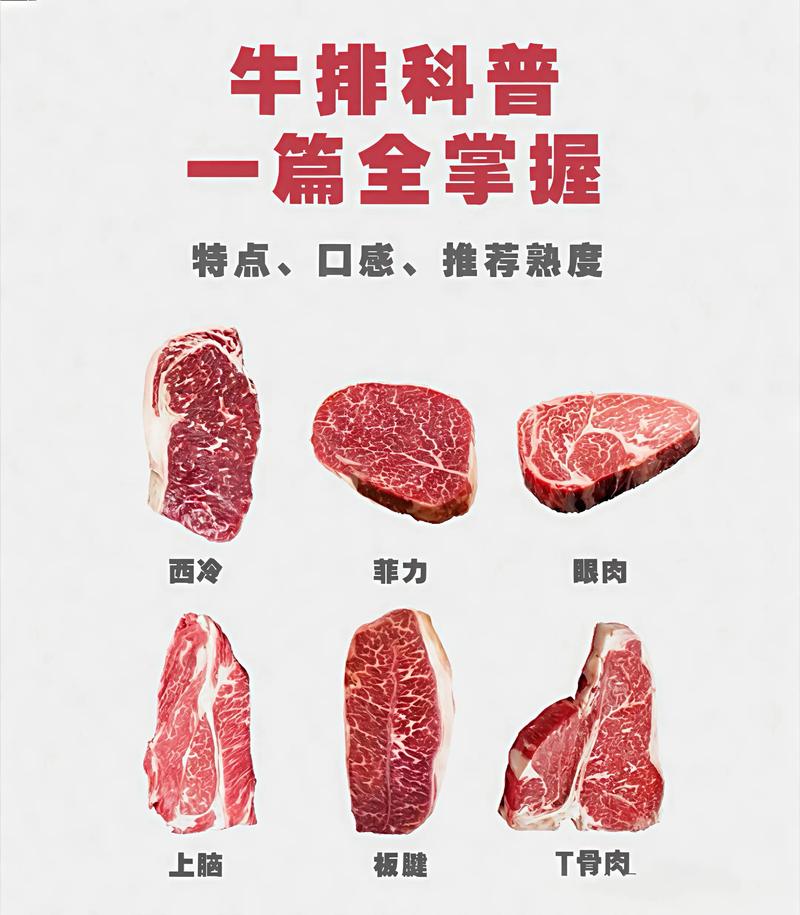 适合做牛排的牛肉部位图解_牛肉部位不同，风味各异！