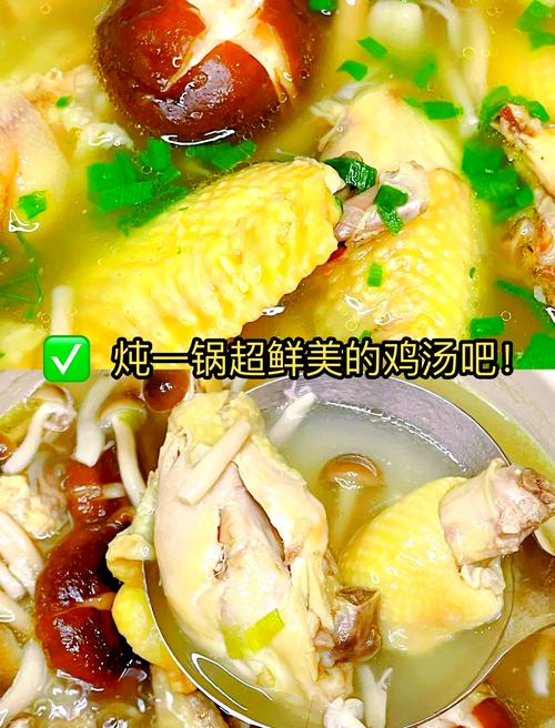 怎样炖鸡嫩而不老_选对鸡，控好火候，炖出鲜嫩鸡肉