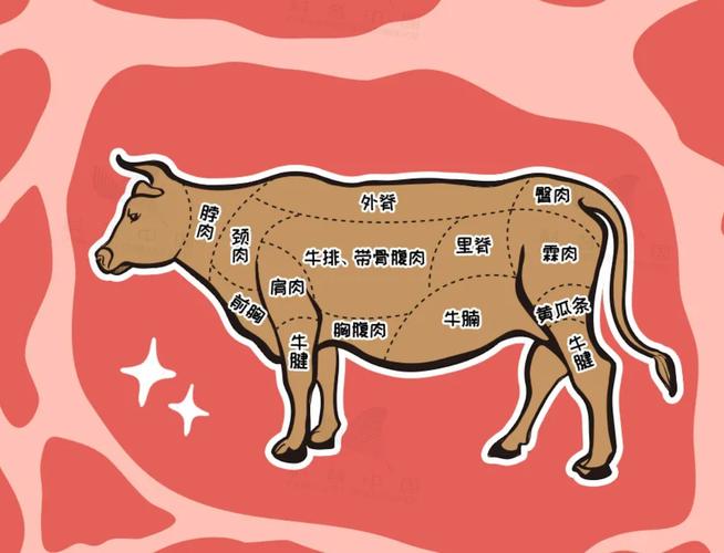 牛沙瓜是牛身上哪个部位_牛沙瓜是牛胃皱胃，口感独特，做法多样