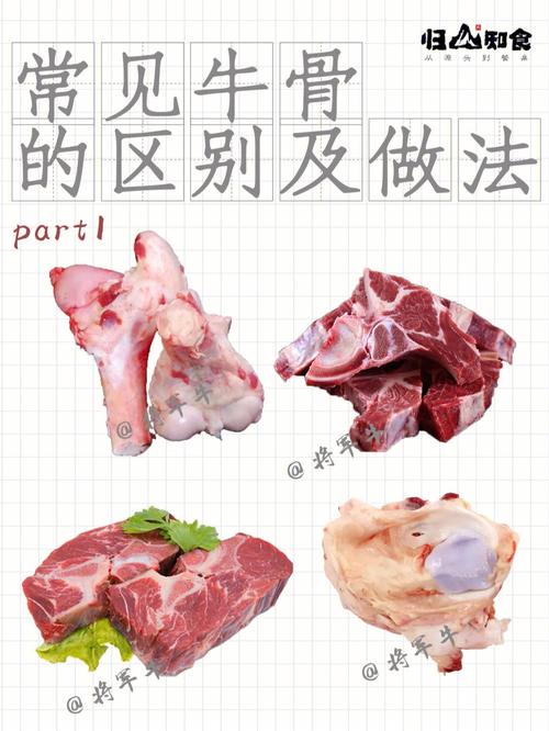 牛窝骨是哪个部位图解_软脆有嚼劲，滋补营养好食材