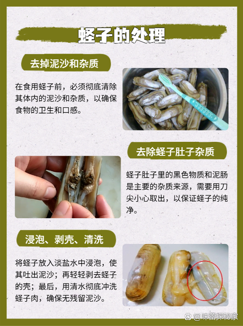 怎么辨别蛏子新不新鲜_挑蛏子看壳色鲜亮壳完整触须缩回快无腥臭！