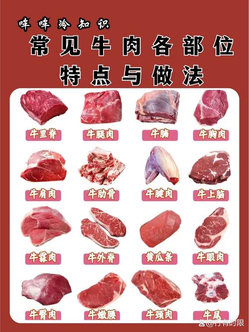 牛肉区分部位图片_牛肉挑选有妙招，不同部位做法不同