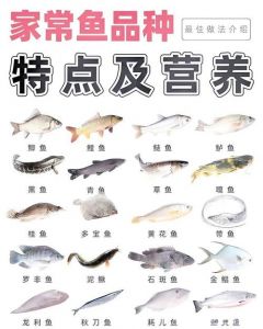 鲶鱼是最脏的鱼吗_鲶鱼其实很干净，放心吃吧！