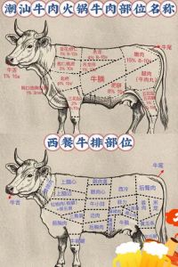 吊龙肉牛哪个部位图解_高端火锅的23倍奢华！