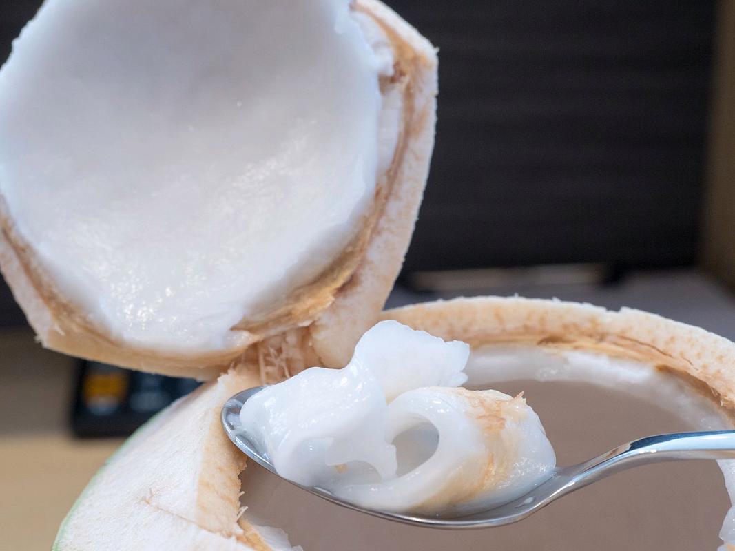 椰子肉脂肪含量高吗_椰子肉脂肪多，适量吃不怕胖