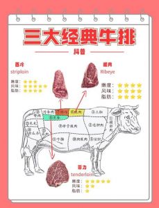 牛排肉是哪个部位的肉_牛排部位不同风味各异，烹饪有讲究！