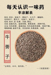 牛蒡俗称叫什么_别名多，营养价值高，药用价值高