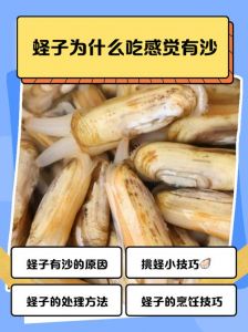 蛏子咬不动是没熟吗_蛏子快炒5-10分钟熟，盐水泡6小时吐沙，痛风勿食