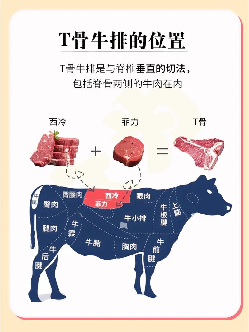 自己做牛排买什么部位_肋眼西冷菲力牛小排的区别