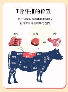 自己做牛排买什么部位_肋眼西冷菲力牛小排的区别