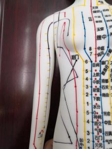 全身穴位图解3d是什么样的_穴位定位与调理