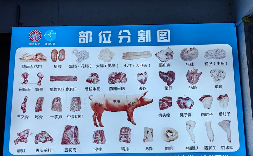 雪花猪肉部位图解_猪肉部位各不同，做法要分清