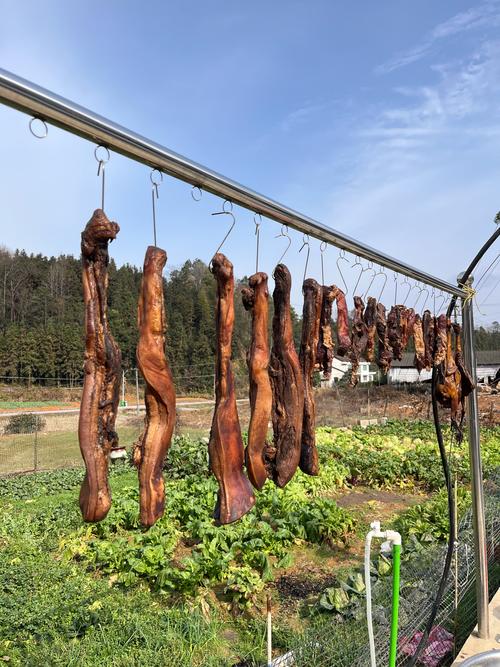 腊肉腌制好晒时要洗吗_腊肉晾晒前洗不洗？传统不洗更入味！