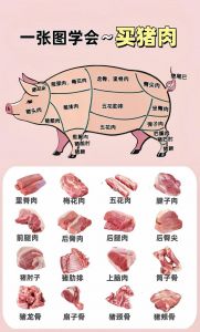 猪腱肉是哪个部位的肉_炖煮卤制佳品，肉香筋道营养高