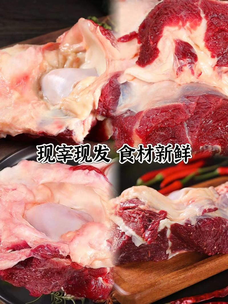 牛窝骨是哪个部位图解_软脆有嚼劲，滋补营养好食材