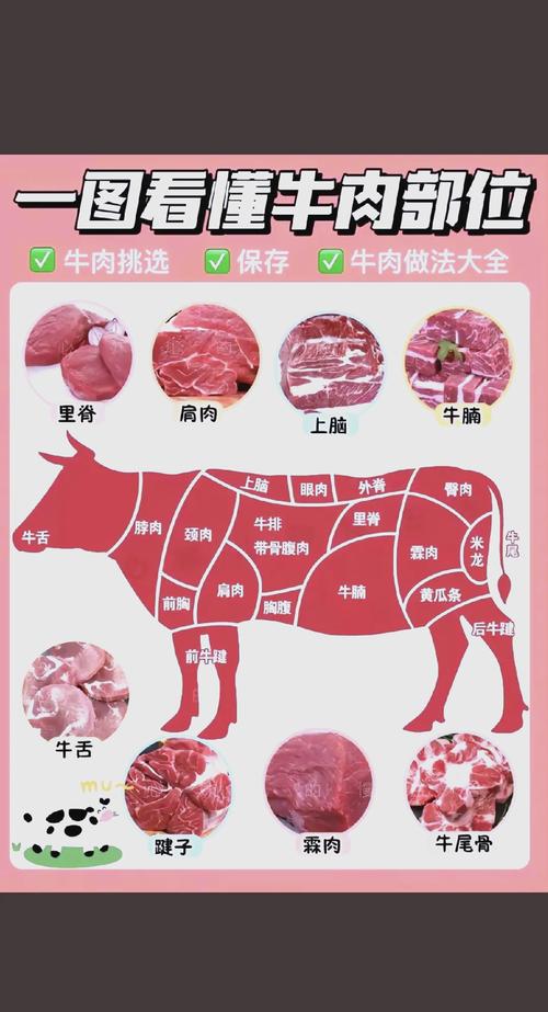 牛肉分割图及各部位名称_牛肉部位大不同，选对才能做好菜！