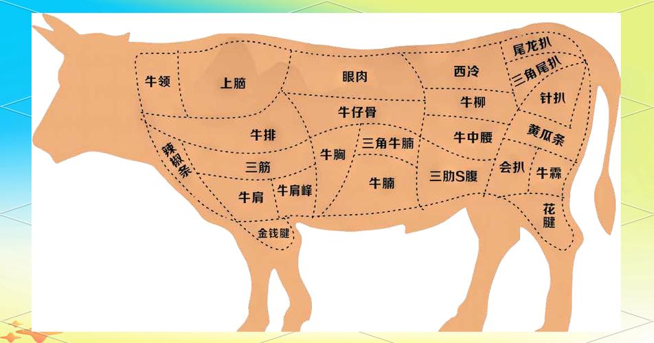 牛肉分割部位高清图 图解_选对部位做对菜
