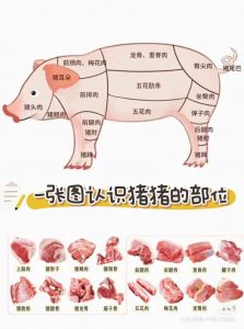 猪小里脊肉位置图_最嫩猪肉，炒炖皆宜！