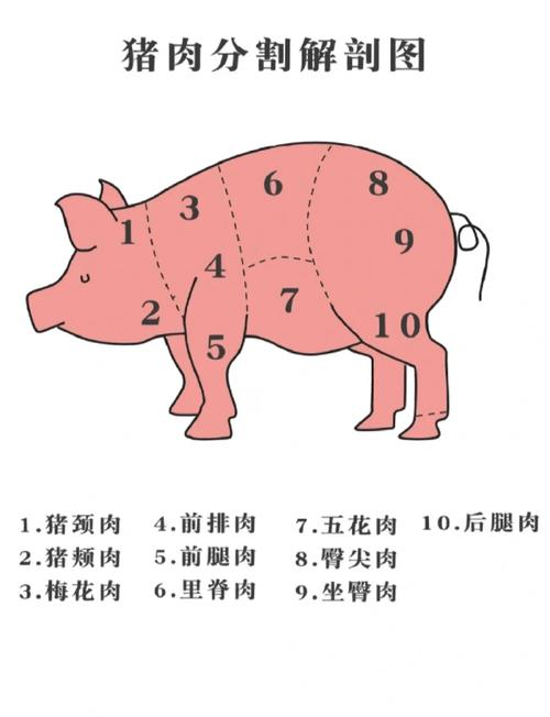 猪小里脊肉位置图_最嫩猪肉，炒炖皆宜！