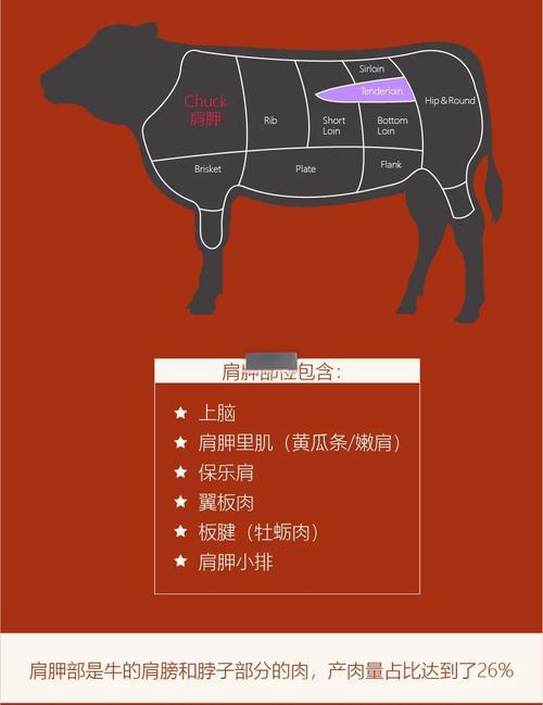 牛排在牛身上部位图_五分熟七分熟怎么选？
