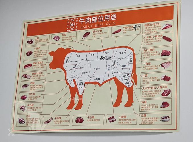 牛胸口肉下面是什么部位_牛胸口肉细嫩多汁，适合多种烹饪方式