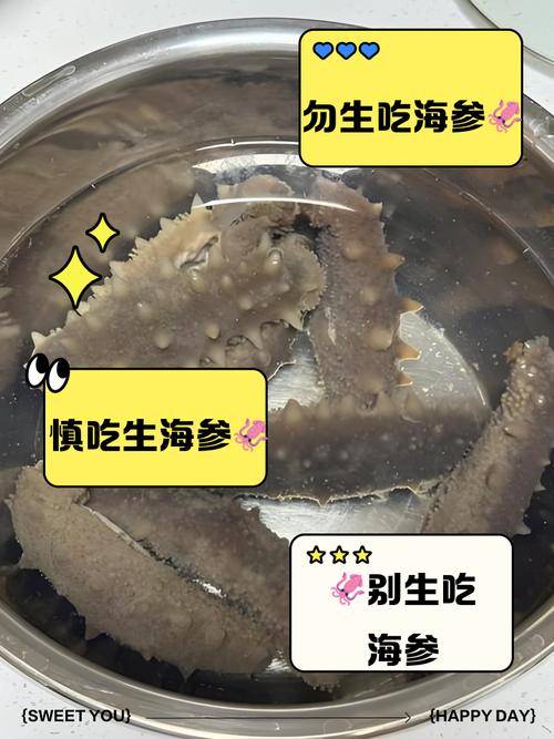 海参和猪肉能一起吃吗_海参猪肉同食益处多 注意痛风过敏人群