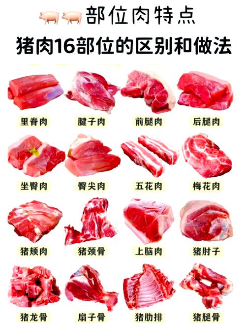 猪的胸口肉是什么部位_猪胸口肉部位多，梅花胛心猪天梯弹子肉各不同