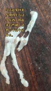 猪的肥肉里包一坨肉球是什么_猪肉肉球有风险？检疫合格的才放心！