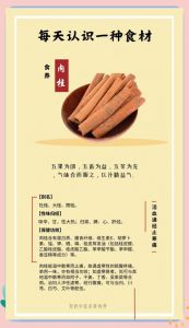 炖羊肉可放肉桂吗_羊肉炖肉桂山楂香，注意禁忌体质选