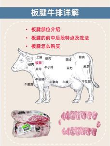 适合做牛排的牛肉部位图解_牛肉部位不同，风味各异！
