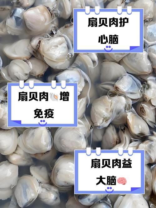 小贝壳里有肉那个叫什么_蛏子扇贝河蚬，海河美味珍稀