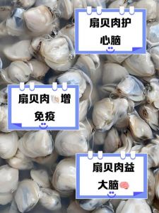 小贝壳里有肉那个叫什么_蛏子扇贝河蚬，海河美味珍稀