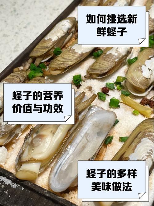 蛏子买回来全部开口了是不是死了_鲜活蛏子怎么挑？闻一闻看一看！