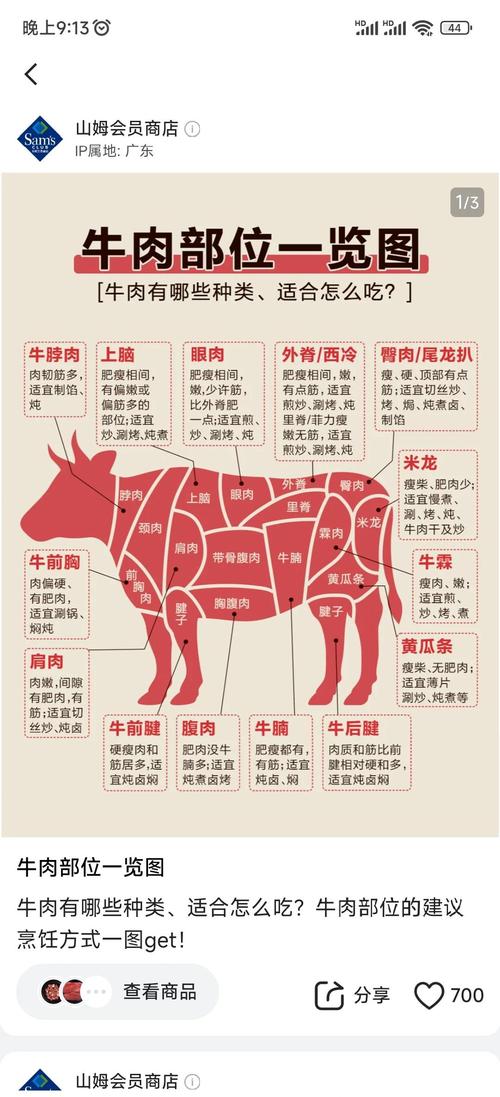 牛肉分割图解_逆纹切，冷冻切，斜着切！