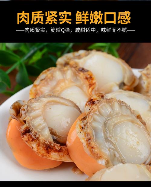 很大的贝壳肉很大的是什么_珍稀贝类，需要保护