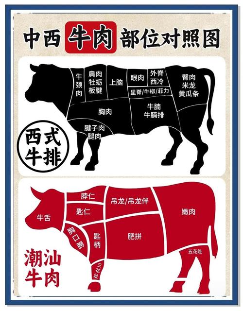 牛肉分割图解_逆纹切，冷冻切，斜着切！