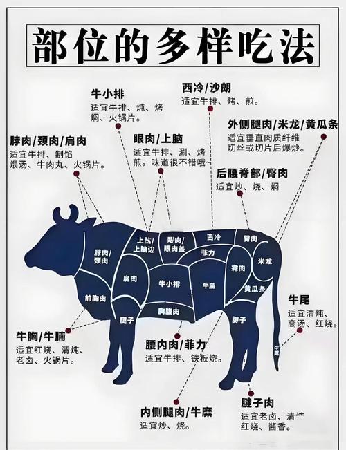 牛肉分割图解_逆纹切，冷冻切，斜着切！