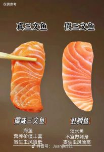 虹鳟和三文鱼肉的区别_大小斑纹营养烹饪全解析