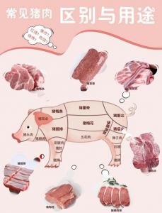 猪的夹心肉部位图解_前腿肉丸里脊炸炒后腿多烹
