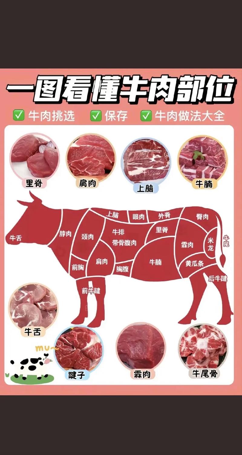 牛肉分割详细部位图_牛肉部位多，烹饪需灵活