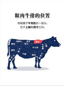肉眼牛排部位示意图_肉眼牛排怎么煎最香嫩？
